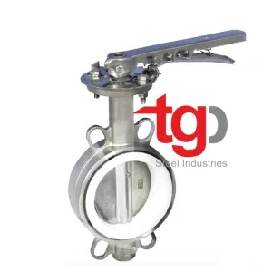 Sản phẩm VAN BUOM INOX 300x300 — Công Ty TNHH Thương Mại Dịch Vụ Xuất Nhập Khẩu Trường Gia Phát — MST 0314199812