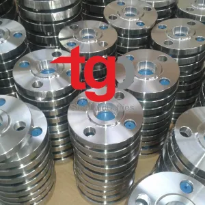 Sản phẩm bich inox 304 jis 10k 300x300 — Công Ty TNHH Thương Mại Dịch Vụ Xuất Nhập Khẩu Trường Gia Phát — MST 0314199812