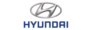 Sản phẩm huyndai — Công Ty TNHH May Và Thương Mại Tiến Bảo — MST 0314202215