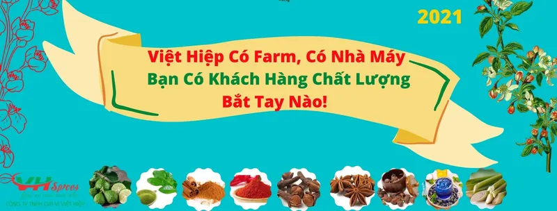 Sản phẩm vh2021 — Công Ty TNHH Gia Vị Việt Hiệp — MST 0314212943