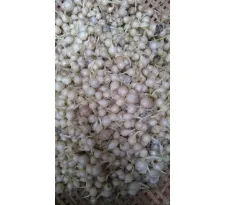Sản phẩm 932163520457_115.3125x205 — Công Ty TNHH Gia Vị Việt Hiệp — MST 0314212943
