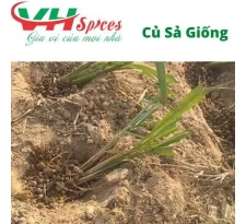 Sản phẩm cu sa giong viet hiep1507_205x205 — Công Ty TNHH Gia Vị Việt Hiệp — MST 0314212943