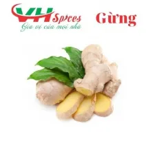 Sản phẩm gung1815_205x205 — Công Ty TNHH Gia Vị Việt Hiệp — MST 0314212943