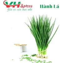 Sản phẩm hanh la0819_205x205 — Công Ty TNHH Gia Vị Việt Hiệp — MST 0314212943