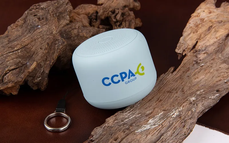 Sản phẩm loa bluetooth qua tang — Công Ty TNHH Gift Business — MST 0314213538
