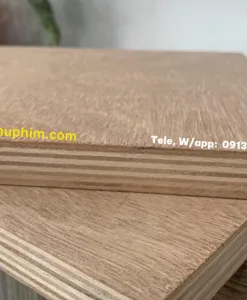 Sản phẩm 15 1 247x300 — Ván Phủ Phim - Công Ty Cổ Phần Happy Life — MST 0314218790