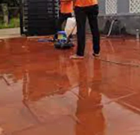 Sản phẩm dichvesinhphubonggachtau 6444_285x275 — Dịch Vụ Cây Xanh Nano Clean - Công Ty TNHH Thương Mại Dịch Vụ Nano Clean — MST 0314221183