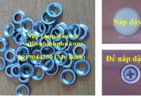 Sản phẩm 290x202x1 Nap chup dau vit DD — Công Ty TNHH Vật Liệu Bình Phú — MST 0314225438