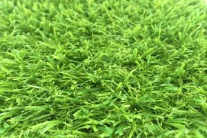 Sản phẩm hình chụp cận cảnh bề mặt cỏ nhân tạo sân vườn lg2085 300x200 — Công Ty TNHH Xuất Nhập Khẩu Thương Mại Dịch Vụ Vận Tải Lê Gia — MST 0314231858