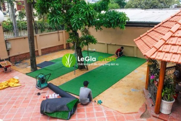 Sản phẩm trai co 599x400 — Công Ty TNHH Xuất Nhập Khẩu Thương Mại Dịch Vụ Vận Tải Lê Gia — MST 0314231858