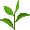 Sản phẩm green tea 1 — Công Ty TNHH Thương Mại Dịch Vụ Xuất Nhập Khẩu An Sơn Phát — MST 0314234150