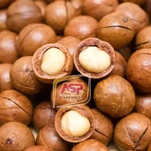 Sản phẩm Vietnam Macadamia charcoal 8 300x300 — Công Ty TNHH Thương Mại Dịch Vụ Xuất Nhập Khẩu An Sơn Phát — MST 0314234150
