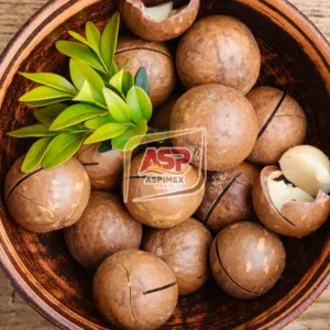 Sản phẩm Vietnamese Macadamia 10 300x300 — Công Ty TNHH Thương Mại Dịch Vụ Xuất Nhập Khẩu An Sơn Phát — MST 0314234150