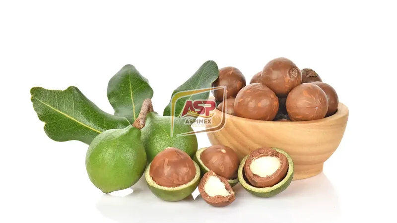 Sản phẩm Vietnamese Macadamia 14 — Công Ty TNHH Thương Mại Dịch Vụ Xuất Nhập Khẩu An Sơn Phát — MST 0314234150
