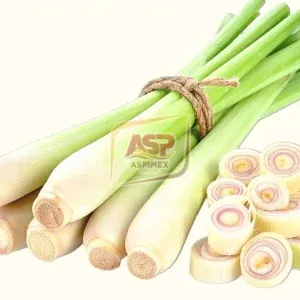 Sản phẩm Fresh Lemongrass 12 300x300 — Công Ty TNHH Thương Mại Dịch Vụ Xuất Nhập Khẩu An Sơn Phát — MST 0314234150