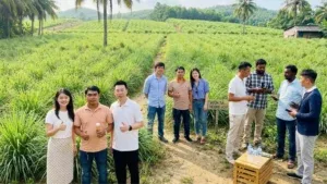 Sản phẩm Fresh Lemongrass 14 300x169 — Công Ty TNHH Thương Mại Dịch Vụ Xuất Nhập Khẩu An Sơn Phát — MST 0314234150