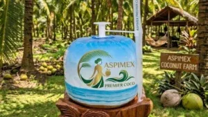 Sản phẩm vietnamese fresh easy open coconut  300x169 — Công Ty TNHH Thương Mại Dịch Vụ Xuất Nhập Khẩu An Sơn Phát — MST 0314234150