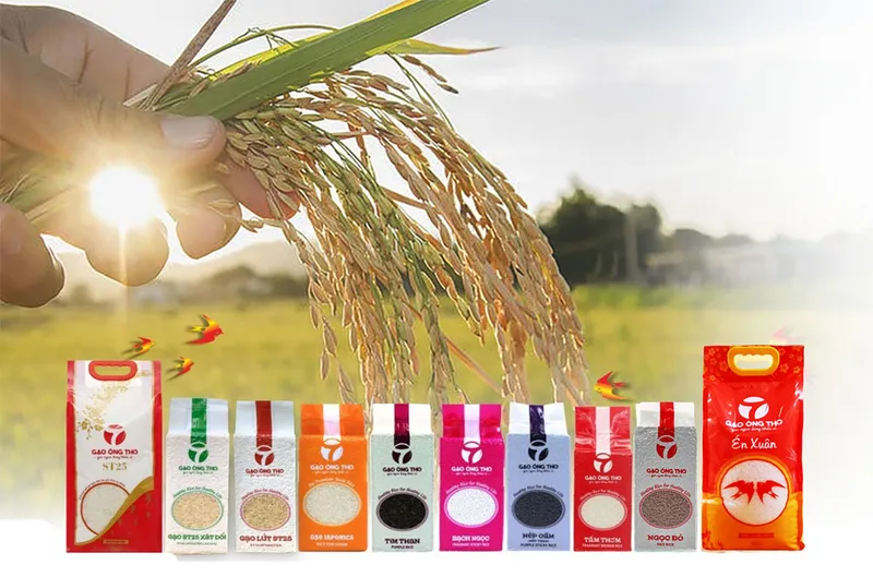 Sản phẩm gt gs — Gạo Ông Thọ - Công Ty Cổ Phần Gạo Ông Thọ — MST 0314238726