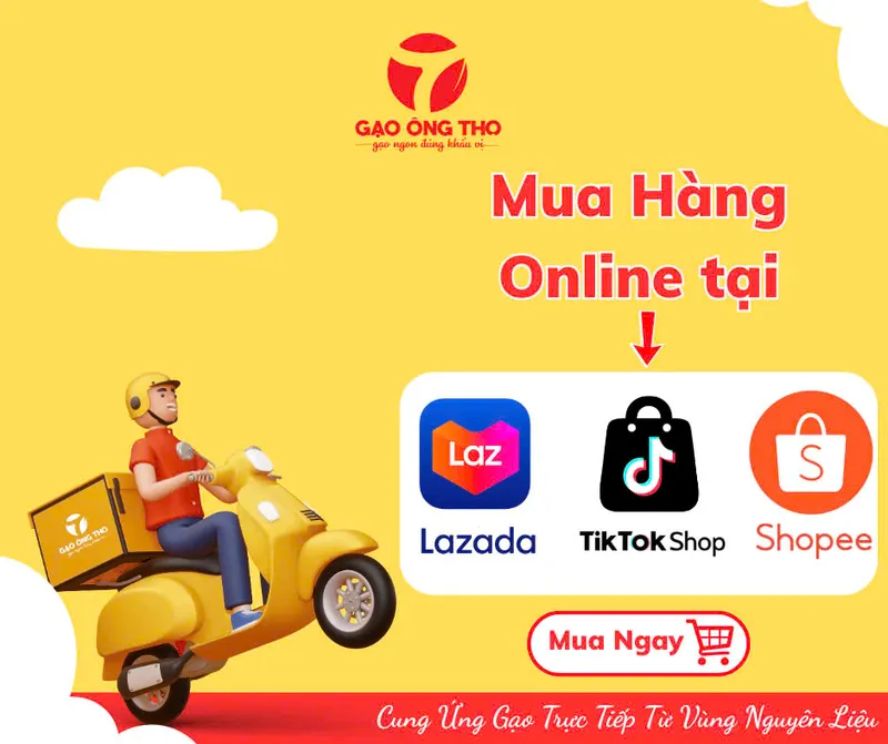Sản phẩm z6510114432494_357c816119a0b5a271072f9c95a46717 — Gạo Ông Thọ - Công Ty Cổ Phần Gạo Ông Thọ — MST 0314238726