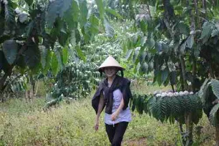 Sản phẩm cu1h4QTra5RXlXguiWAucym2pFvFrJusIpbFFbZF_zip — Công Ty TNHH Sản Xuất Thương Mại Dịch Vụ Xuất Nhập Khẩu Le Garden — MST 0314241214
