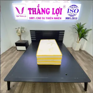 Sản phẩm 338737_screenshot_1679368254 min 600x601 min 300x300 — Công Ty TNHH Nệm Thắng Lợi — MST 0314243042