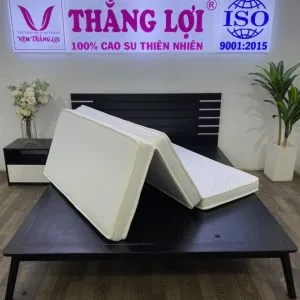 Sản phẩm 877458607239 min min 300x300 — Công Ty TNHH Nệm Thắng Lợi — MST 0314243042