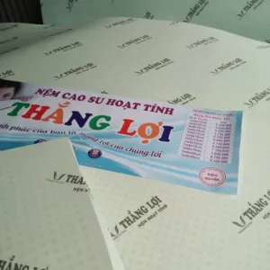 Sản phẩm Screenshot 2023 10 17 14.56.03 min min 300x300 — Công Ty TNHH Nệm Thắng Lợi — MST 0314243042