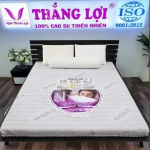 Sản phẩm c90bc62fe902215c7813 min min 300x300 — Công Ty TNHH Nệm Thắng Lợi — MST 0314243042