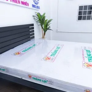 Sản phẩm cau tao va thiet ke nem cao su non cao cap thang loi min min 300x300 — Công Ty TNHH Nệm Thắng Lợi — MST 0314243042