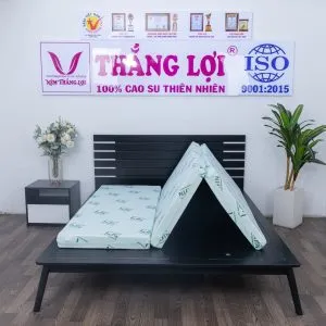 Sản phẩm ez8a0051 2496 min 1 min 300x300 — Công Ty TNHH Nệm Thắng Lợi — MST 0314243042