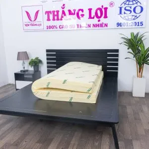 Sản phẩm ez8a9886 5136 min min 300x300 — Công Ty TNHH Nệm Thắng Lợi — MST 0314243042