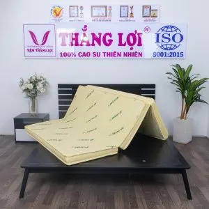 Sản phẩm nem cao su non thang loi gap 3 2774 min min 1 300x300 — Công Ty TNHH Nệm Thắng Lợi — MST 0314243042