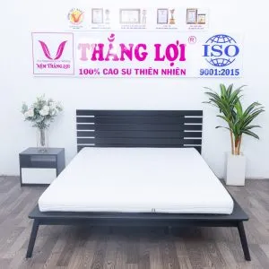 Sản phẩm nem foam cao cap thang loi 7613 min min 300x300 — Công Ty TNHH Nệm Thắng Lợi — MST 0314243042