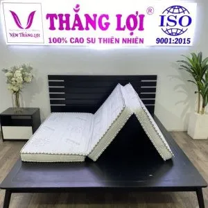 Sản phẩm nem memory foam gap 3 3 2272 min 600x600 min 300x300 — Công Ty TNHH Nệm Thắng Lợi — MST 0314243042
