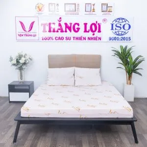 Sản phẩm nem super win 1 3016 2 min min 1 300x300 — Công Ty TNHH Nệm Thắng Lợi — MST 0314243042