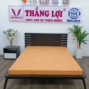 Sản phẩm nem_cao_su_100_susu_1 min min 300x300 — Công Ty TNHH Nệm Thắng Lợi — MST 0314243042