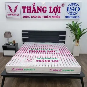 Sản phẩm nem_cao_su_wonderfoam_thang_loi_1 min min 300x300 — Công Ty TNHH Nệm Thắng Lợi — MST 0314243042
