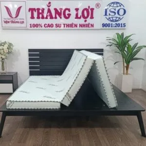 Sản phẩm nem_hoat_tinh_gap_3_5 min 600x507 min 300x300 — Công Ty TNHH Nệm Thắng Lợi — MST 0314243042
