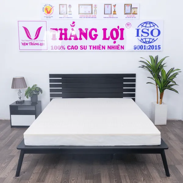 Sản phẩm top 5 dong nem cao su cao cap duoc ua chuong 2 600x600 min — Công Ty TNHH Nệm Thắng Lợi — MST 0314243042