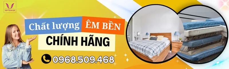 Sản phẩm z4788919983849_0b68e64292d70e761ad527c14f949318 min — Công Ty TNHH Nệm Thắng Lợi — MST 0314243042