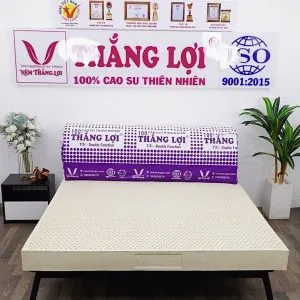 Sản phẩm z5082433197731_d92a60040f775a11d4c22e8da99da84f min min 300x300 — Công Ty TNHH Nệm Thắng Lợi — MST 0314243042