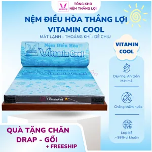 Sản phẩm NEM DIEU HOA THANG LOI VITAMIN COOL 300x300 — Công Ty TNHH Nệm Thắng Lợi — MST 0314243042