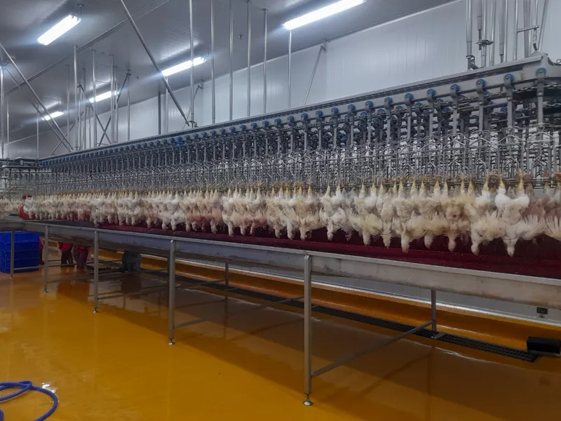 Sản phẩm z3995910375244_011_33e81995c5e6bac5b71a238c857c9616 — Công Ty TNHH Sản Xuất Thương Mại Nông Sản Thực Phẩm Trí Việt — MST 0314260898