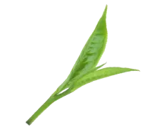 Sản phẩm la2 — Công Ty Cổ Phần Nguyên Liệu Thực Phẩm Và Dược Phẩm MQ — MST 0314268181