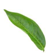 Sản phẩm la4 — Công Ty Cổ Phần Nguyên Liệu Thực Phẩm Và Dược Phẩm MQ — MST 0314268181