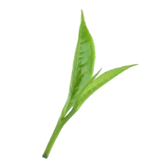 Sản phẩm la5 — Công Ty Cổ Phần Nguyên Liệu Thực Phẩm Và Dược Phẩm MQ — MST 0314268181