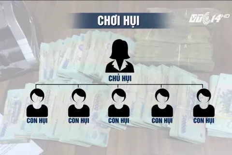 Sản phẩm 5356052610740082761162885727207815404060672n 2803 — Hãng Luật Capital - Công Ty Luật TNHH MTV Hãng Luật Capital — MST 0314271508