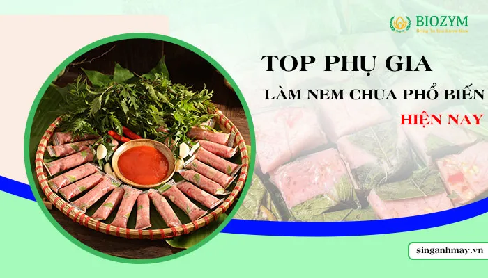 Sản phẩm top phu gia lam nem chua — Phụ Gia Thực Phẩm Biozym - Công Ty TNHH Sản Xuất Và Dịch Vụ Biozym — MST 0314279190