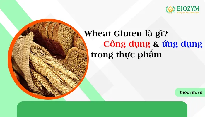 Sản phẩm gluten la gi — Phụ Gia Thực Phẩm Biozym - Công Ty TNHH Sản Xuất Và Dịch Vụ Biozym — MST 0314279190