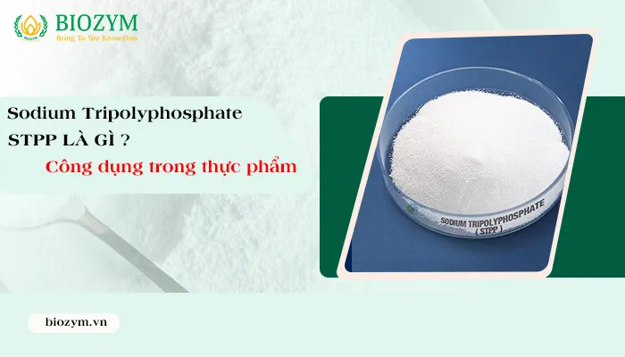 Sản phẩm stpp la gi — Phụ Gia Thực Phẩm Biozym - Công Ty TNHH Sản Xuất Và Dịch Vụ Biozym — MST 0314279190